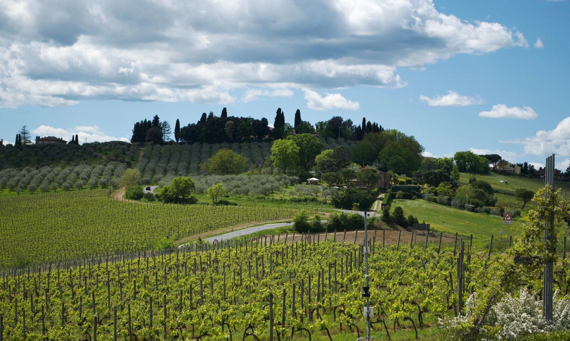 Villa Il Castagno Wine & Resort Siena Exterior photo